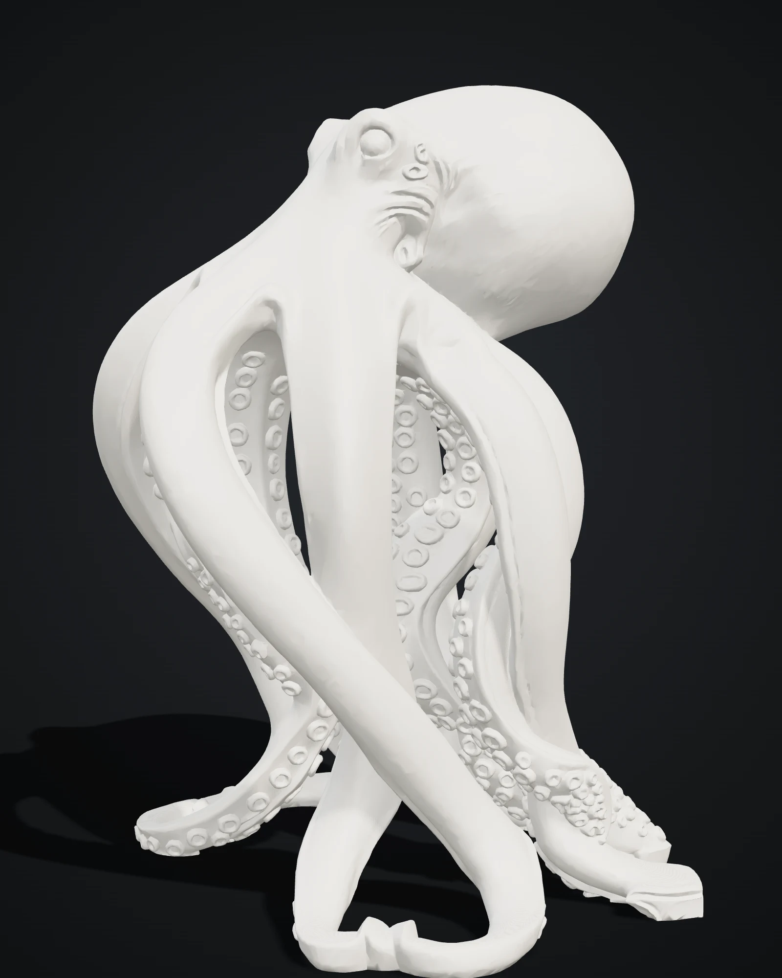 Polpo, modello 3D